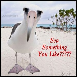 Send Me a Reasonable Offer